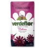 Verdeflor 翠綠花蜜蜂花草本有梗瑪黛茶 500 克